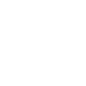 KISS FLOW
