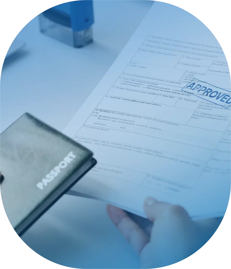 visa processcopy