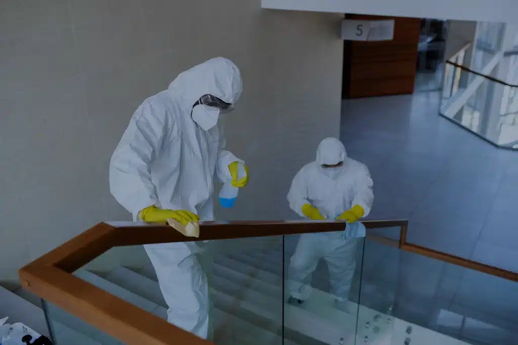 cleaning facility pest control