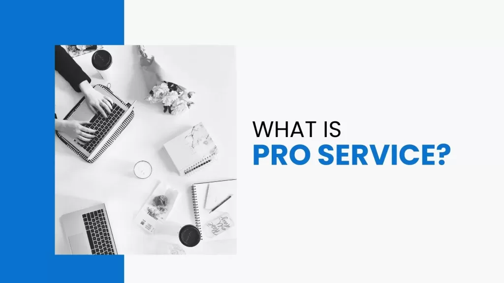 What are PRO Services in Dubai?